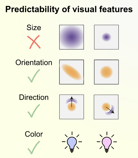 Visual Feature Predictions