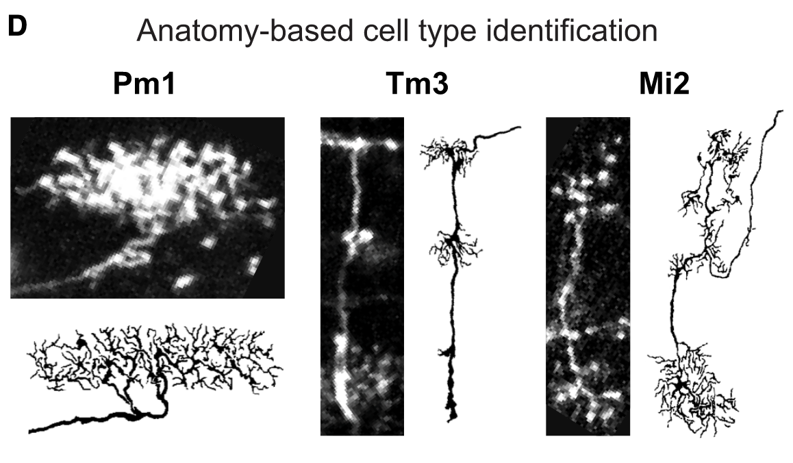 Experimental Method Figure 1