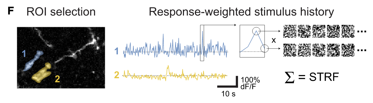 Experimental Method Figure 2