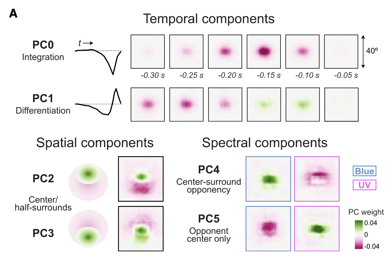 PCA Analysis Results