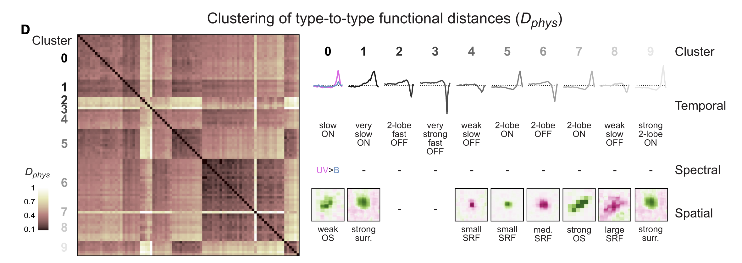 Functional Clusters