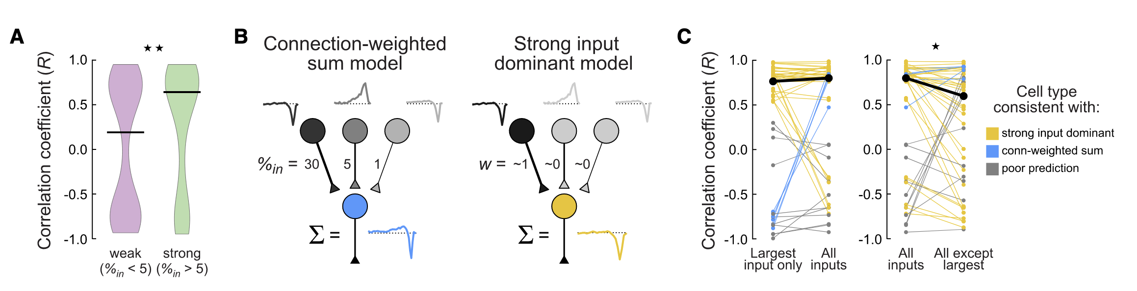 Strong Input Dominant Model