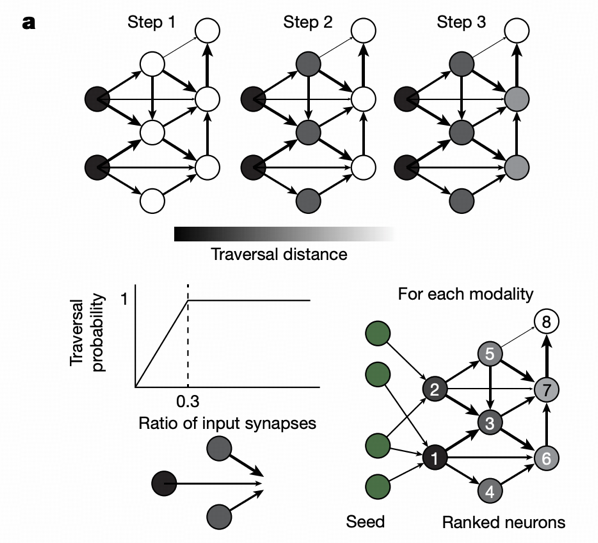 Information Flow Model