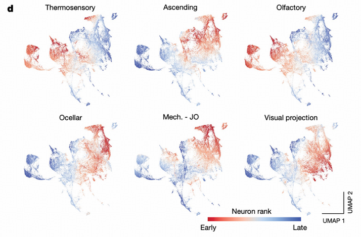 Information Flow Analysis Results