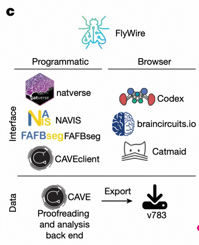 Personal Understanding and Prospects